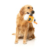 FuzzYard Dog Toy - Steinzy (NEW)