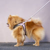 Rogz Fast-Fit Adjustable Urban Dog Harness Pink Blush