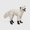 Canada Pooch® Waterproof Rain Boots Yellow