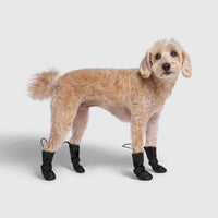 Canada Pooch® Waterproof Rain Boots Black