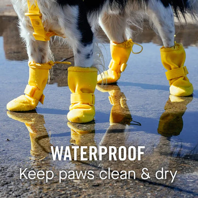 Canada Pooch® Waterproof Rain Boots Yellow