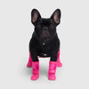 Canada Pooch® Waterproof Rain Boots Pink