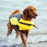 Canada Pooch- Wave Rider Life Vest - Yellow