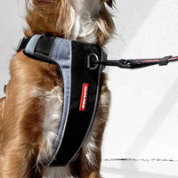 Ezydog "X-Link" Harness Black