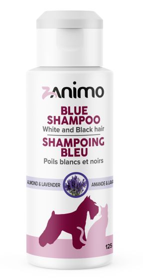 Zanimo Blue Shampoo, For Black And White Coats, For Dogs And Cats - Almond & Lavender