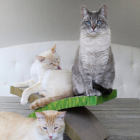 Outward Hound® Petstages® Invironment Easy Life Hammock Scratcher