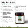 Adored Beast Soil & Sea Primordial Pre & Probiotics