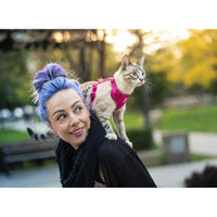 RC Pets Adventure Kitty Harness Daisies