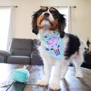 Li'l Pals® Birthday Combo, Teal- Bandana, Bow, & Toy Dog