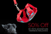 RC Pets Adventure Kitty Harness Maldives SALE