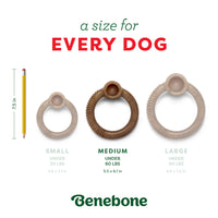 Benebone® HOLIDAY Limited Edition Peppermint Ring Medium Dog Toy