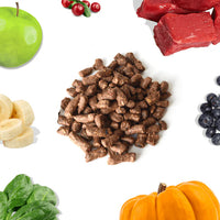 Healthybud  Beef Bites 14oz (NEW)