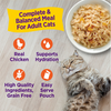 Wellness® Appetizing Entrées™ Shredded Chicken Recipe in Sauce Wet Cat Food 1.4oz (NEW)