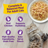 Wellness® Appetizing Entrées™ Shredded Chicken & Salmon Recipe in Sauce Wet Cat Food 1.4oz (NEW)