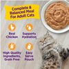 Wellness® Appetizing Entrées™ Mousse Chicken Recipe Infused with Broth Wet Cat Food 1.4oz (NEW)