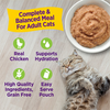 Wellness® Appetizing Entrées™ Mousse Chicken & Turkey Recipe Infused with Broth Wet Cat Food 1.4oz (NEW)