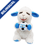 Multipet™ Wrinkleez Lamb Chop® Soccer Argentina 8" Dog Toy (NEW)