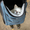 Sherpa® Elevation™ Pet Backpack for Cats & Dogs Blue Medium (NEW)