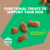 Cloud Star® Dynamo Dog® Hip & Joint Grain Free Soft Chews with Chicken Functional Dog Treat 14oz