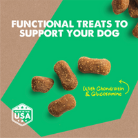Cloud Star® Dynamo Dog® Hip & Joint Grain Free Soft Chews with Chicken Functional Dog Treat 14oz