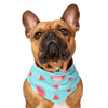 Canada Pooch® Chill Seeker Cooling Bandana Watermelon (NEW)