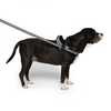Canada Pooch® Redirect Harness Black/Grey