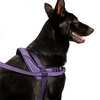 Canada Pooch® Redirect Harness Purple/Lavender
