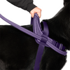 Canada Pooch® Redirect Harness Purple/Lavender
