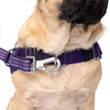 Canada Pooch® Redirect Harness Purple/Lavender