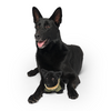 Canada Pooch® Mini-Me Pooch Pal Nova The Rescue Mix Plush Dog Toy (NEW)