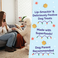 Fruitables® HOLIDAY Sweet Pecan Pie Dog Treat 7oz