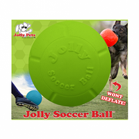 Jolly Pets© Soccer Ball Assorted Colors