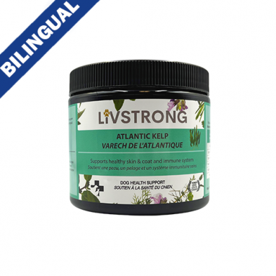 Livstrong Atlantic Kelp Powder