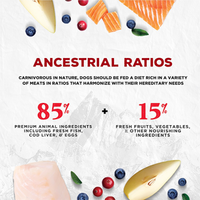 CoevO™ The Hinterlands Wild Shores Freeze-Dried Salmon, Trout & Herring Recipe for Dogs 1lb (NEW)