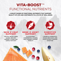 CoevO™ The Hinterlands Wild Shores Vita•Boost™ Salmon, Trout & Herring Treats for Dogs 3.52oz (NEW)