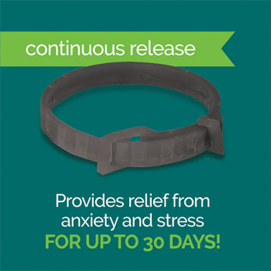 Vetality® Harmony Pet™ Calming Collar for Dogs