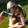 Buddycare™ Antiseptic Ear Drops Suitable for All Pets 6.76 fl oz