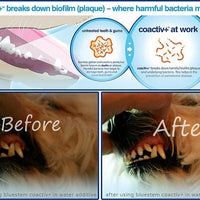 bluestem™ Oral Care No Brushing Gel Chicken Flavor for Dogs and Cats