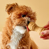 Dilly's Poochie Butter Peanut Toy