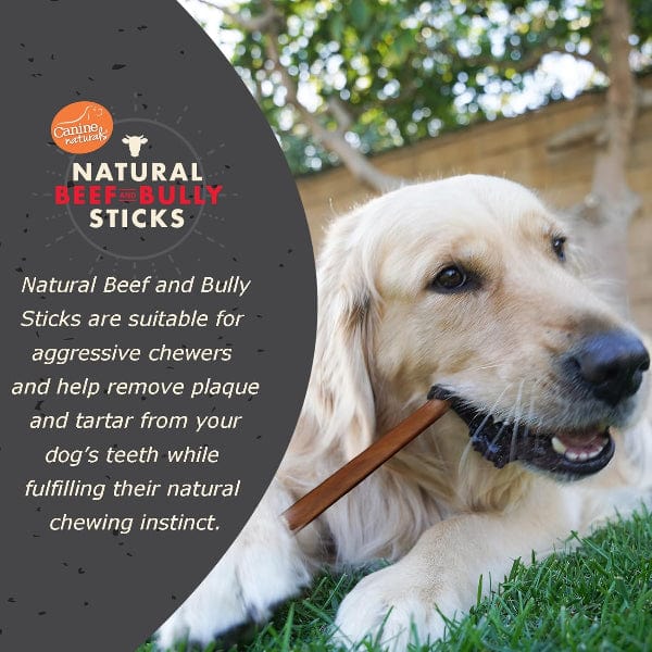 Canine Naturals® Alternative Natural Bully Beef Stick