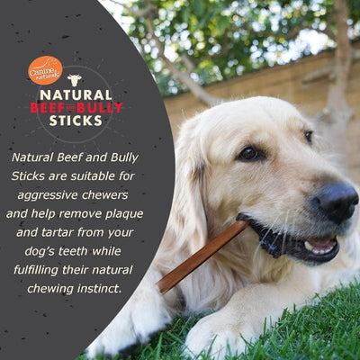 Canine Naturals® Alternative Natural Bully Beef Stick