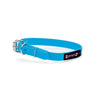 Smoochy Poochy Polyvinyl Waterproof Collar Turquoise