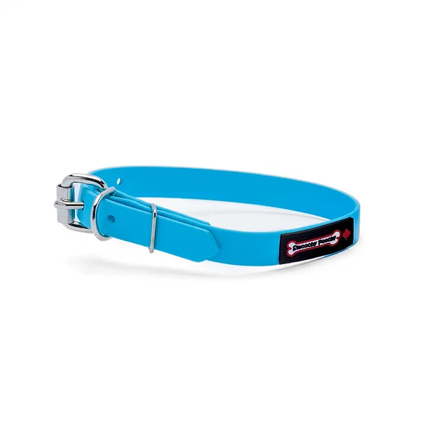 Smoochy Poochy Polyvinyl Waterproof Collar Turquoise