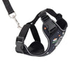 RC Pets Adventure Kitty Harness Daisies