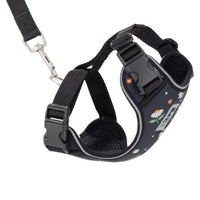 RC Pets Adventure Kitty Harness Daisies