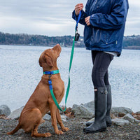 RC Pets Waterproof Collar Sapphire/Black