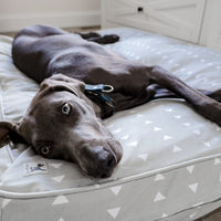 Dog Bed Cover (Duvet) - Be Still