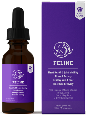 Reelax Feline Oil (NEW)