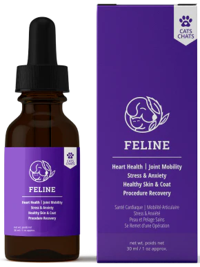 Reelax Feline Oil 30 ml