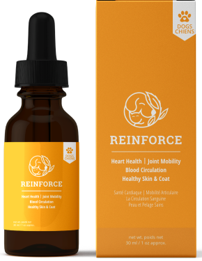 Reelax Dog Oil - Reinforce